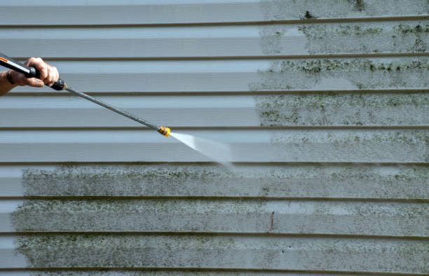 Best Roof Power Washing Services  in , VA